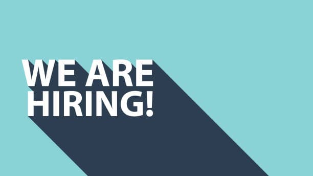 Analyst Developer / Technical Generalist for High Growth Startup (Remote, Part Time)