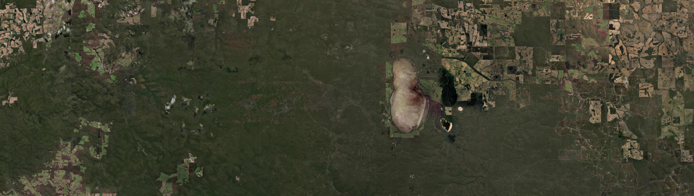 Aerial view of Lake Muir, WA