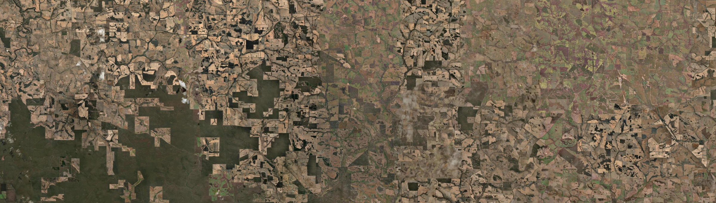 Aerial view of Orchid Valley, WA