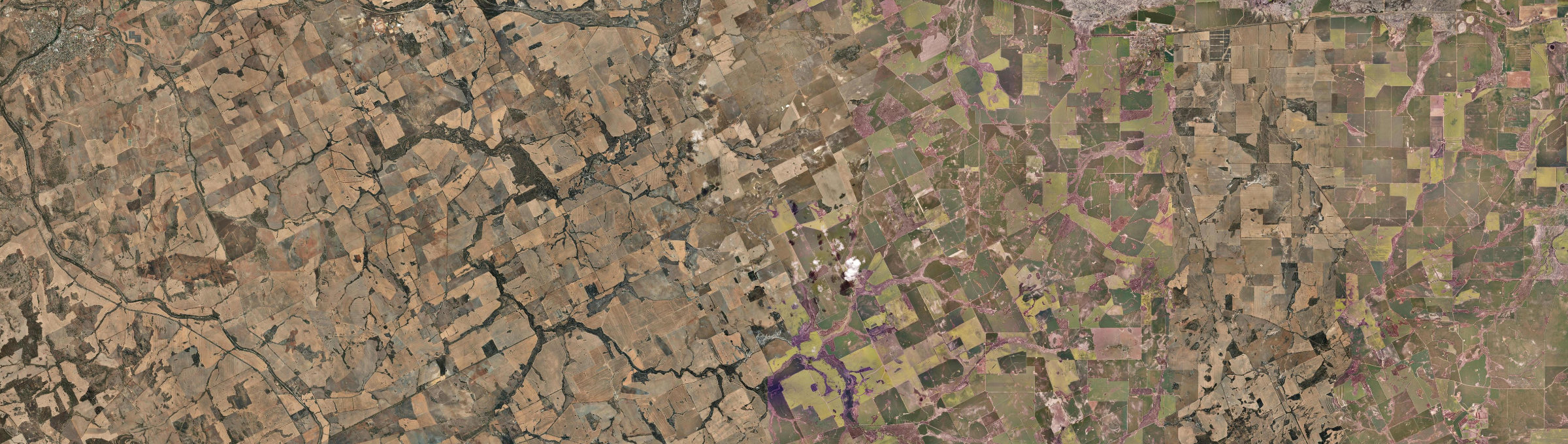 Aerial view of Warding East, WA