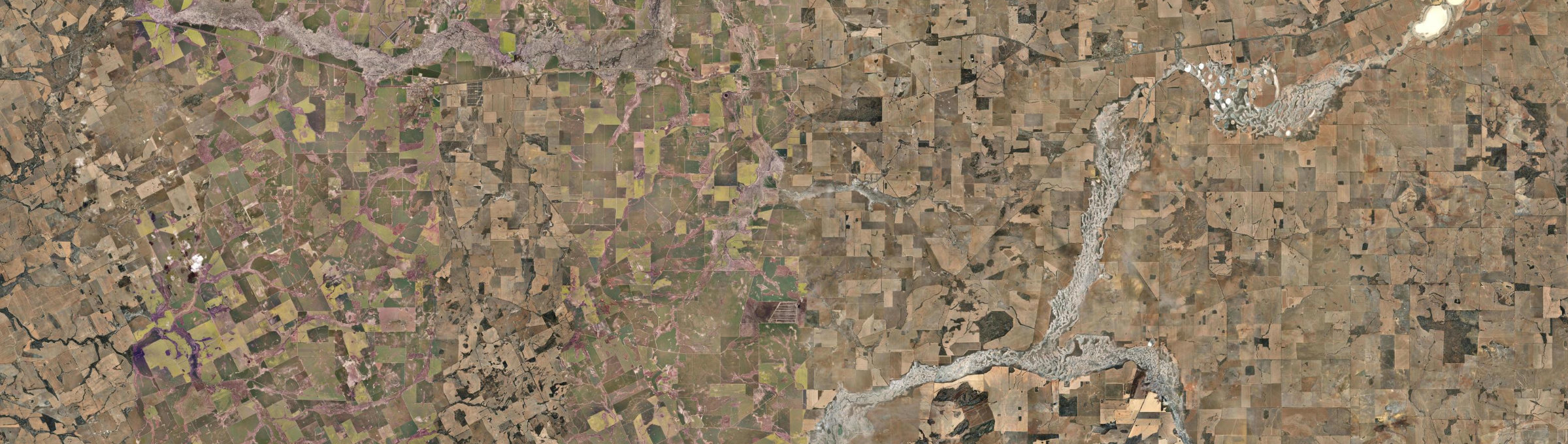 Aerial view of South Tammin, WA