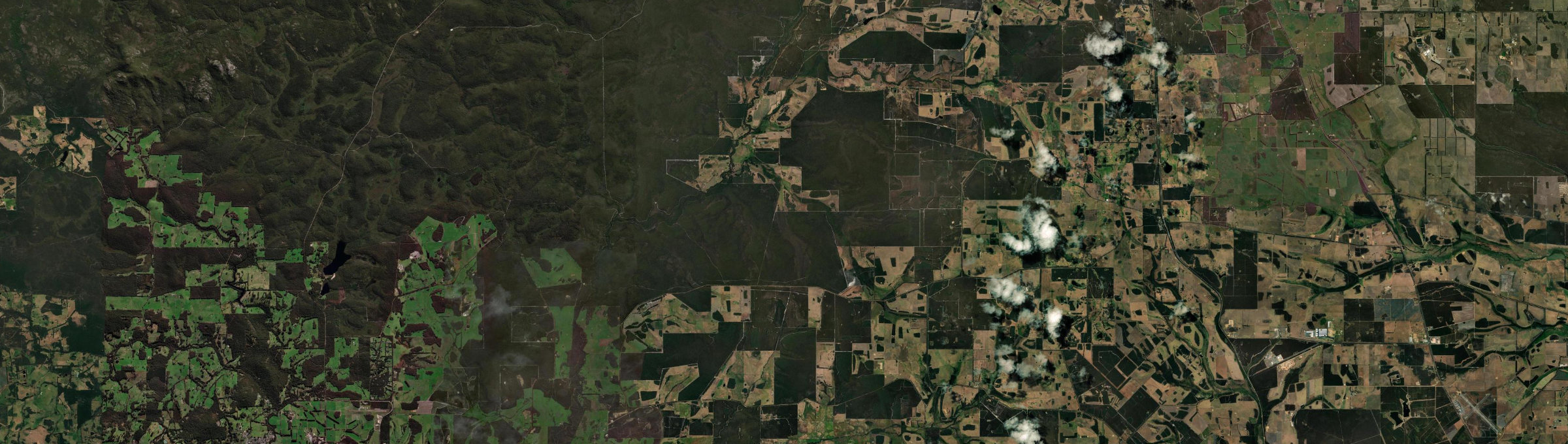 Aerial view of Redmond West, WA