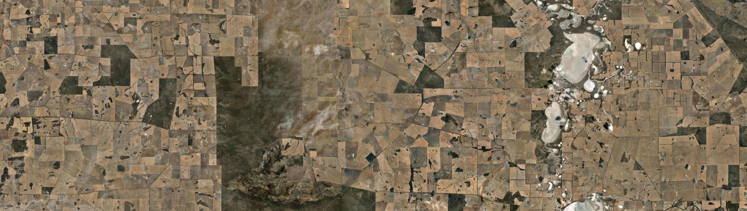 Aerial view of Little Italy, WA
