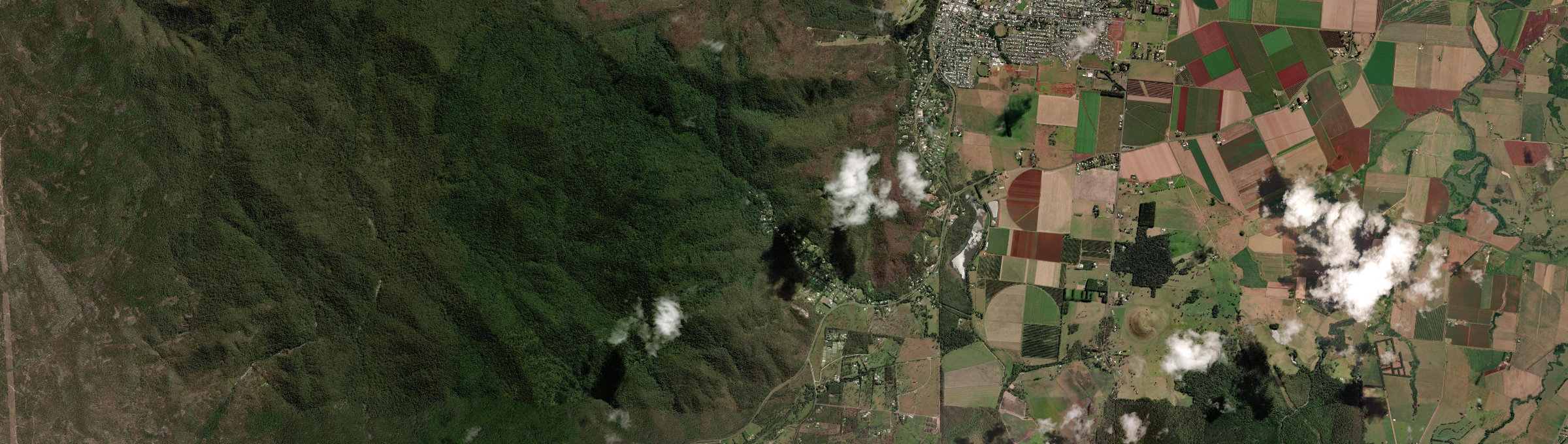 Aerial view of Carrington (Qld), QLD