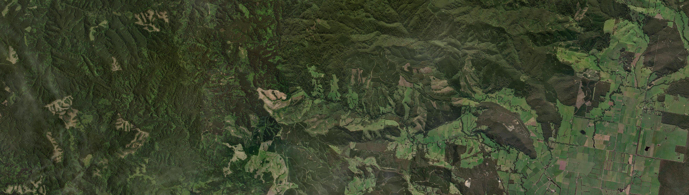 Aerial view of Tarra Valley, VIC