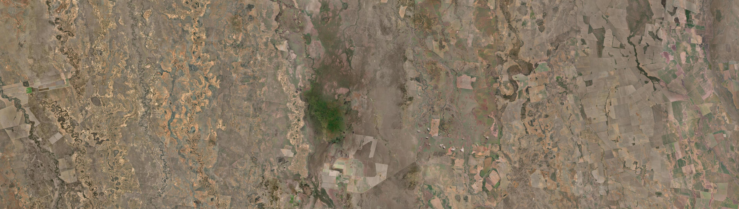 Aerial view of Macquarie Marshes, NSW