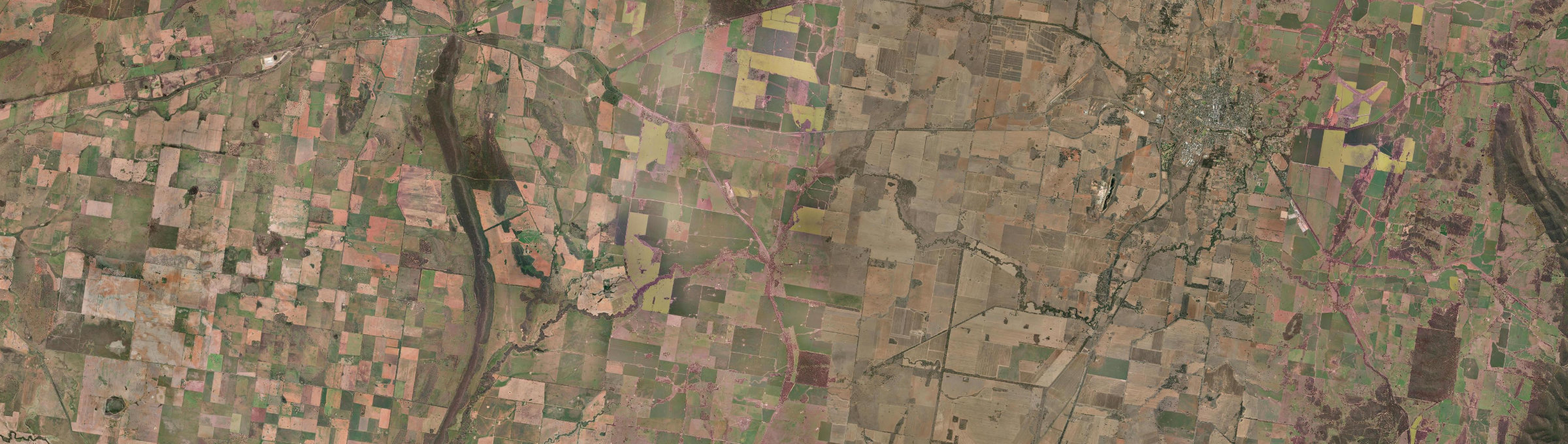Aerial view of Nelungaloo, NSW