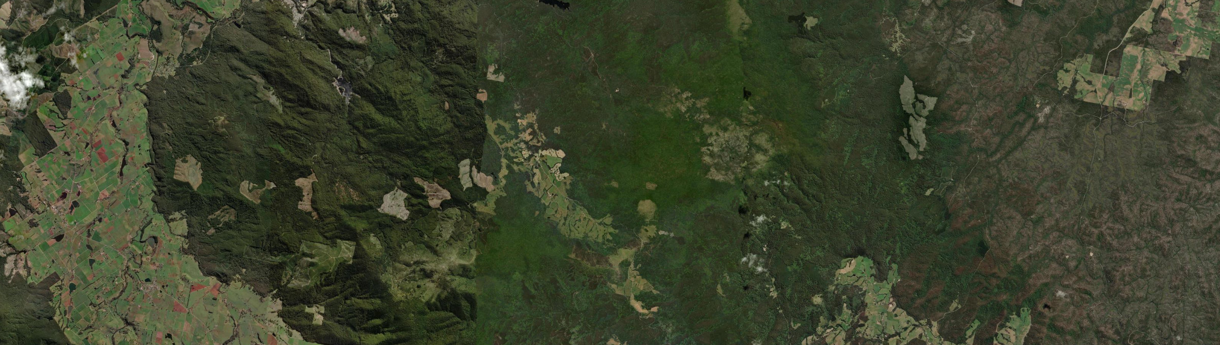 Aerial view of Weldborough, TAS