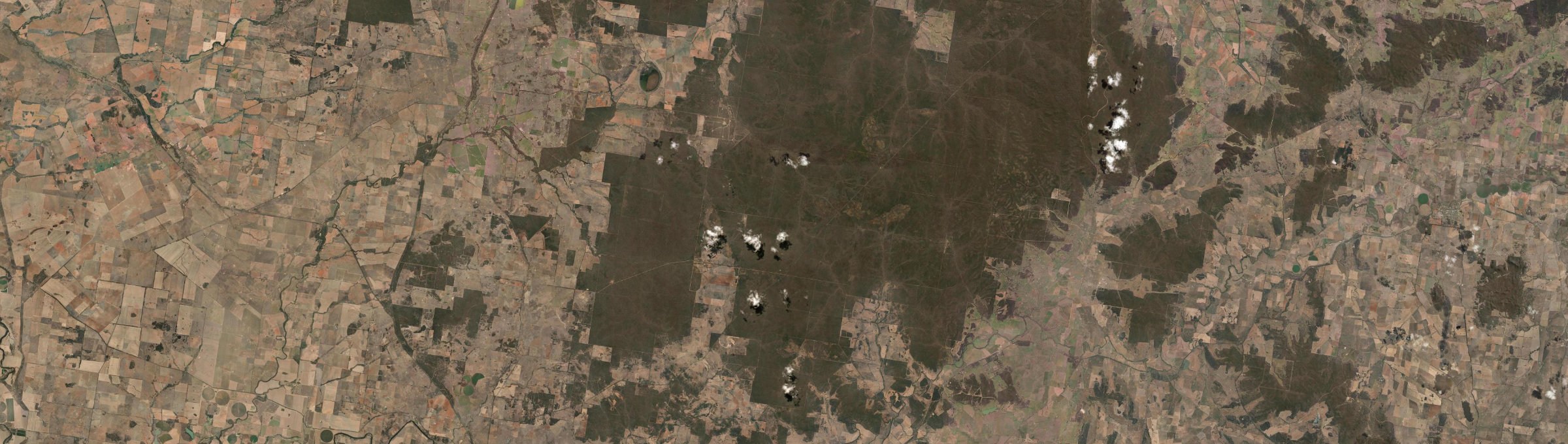 Aerial view of Goonoo Forest, NSW