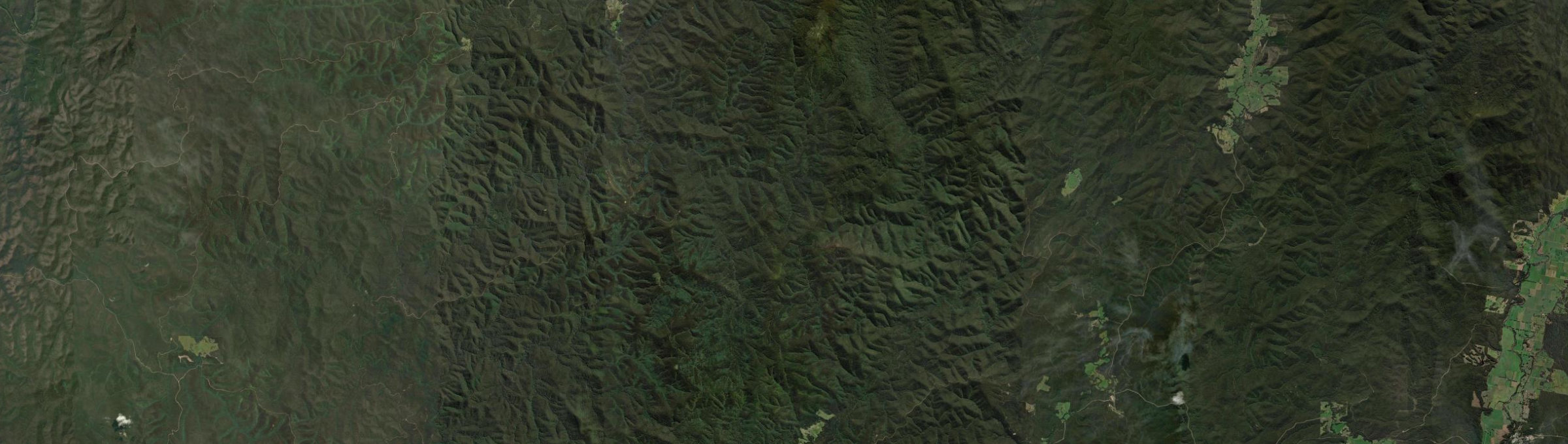 Aerial view of Errinundra, VIC