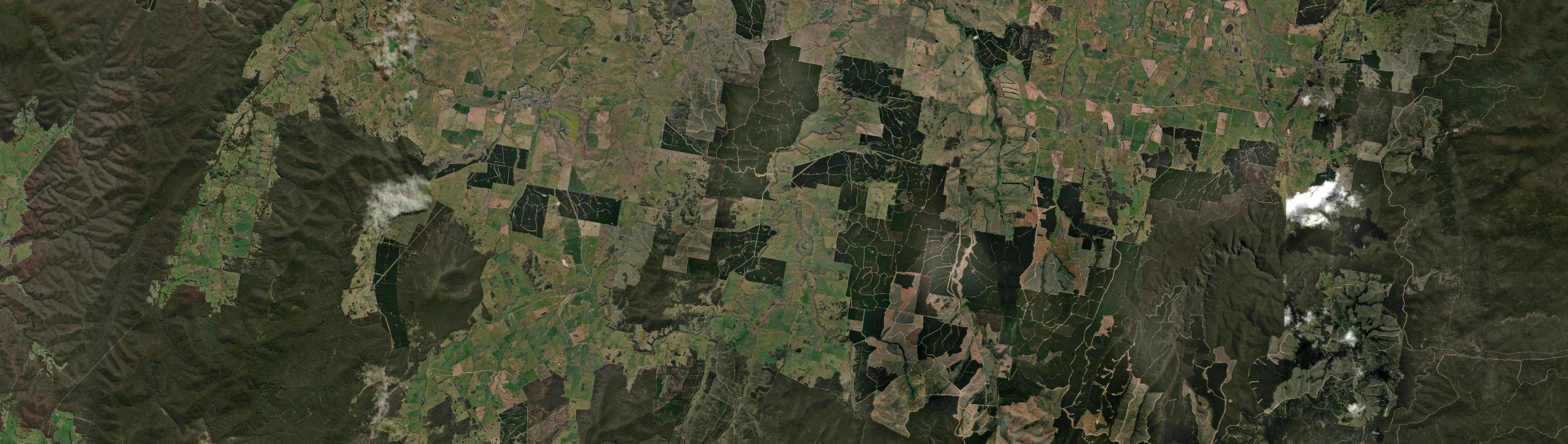 Aerial view of Craigie (NSW), NSW