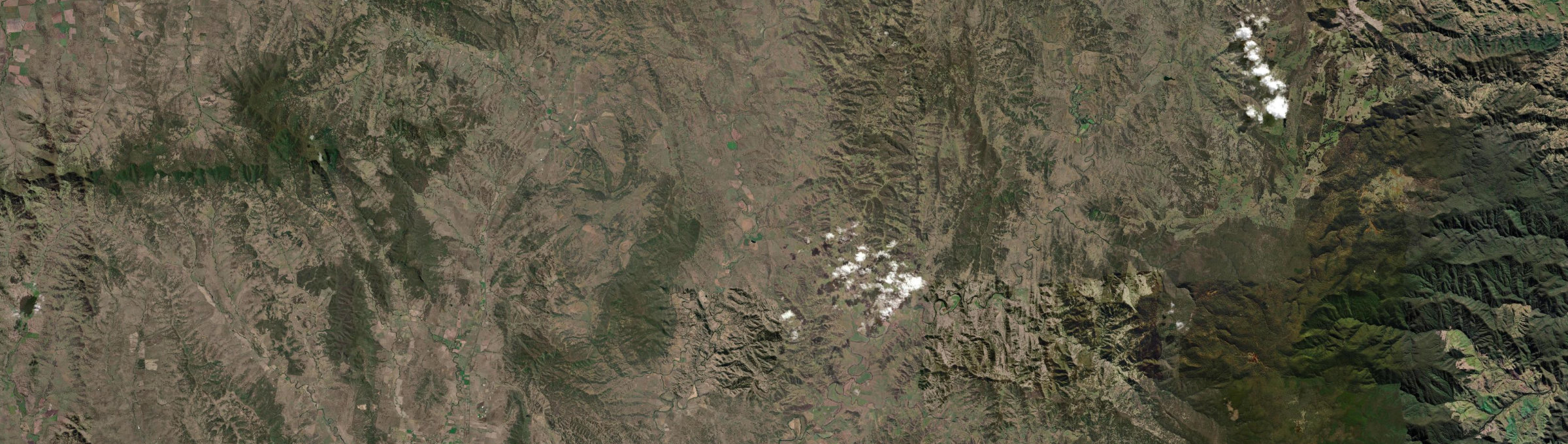 Aerial view of Waverly, NSW