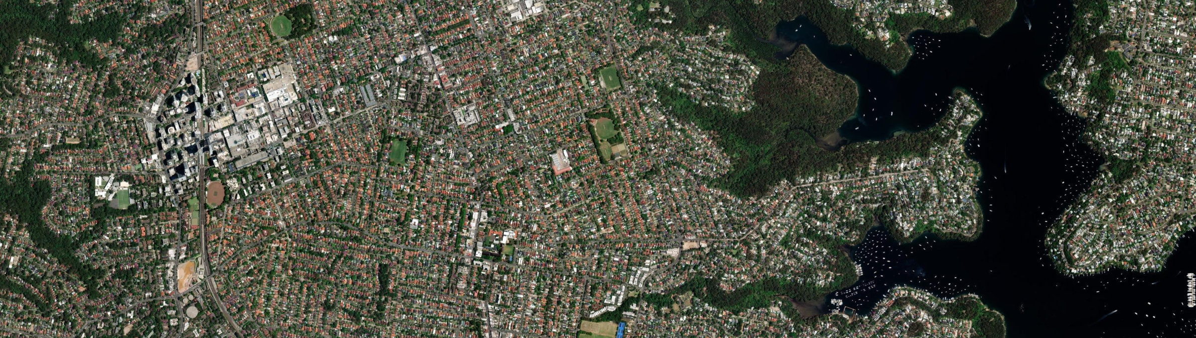Aerial view of Willoughby East, NSW