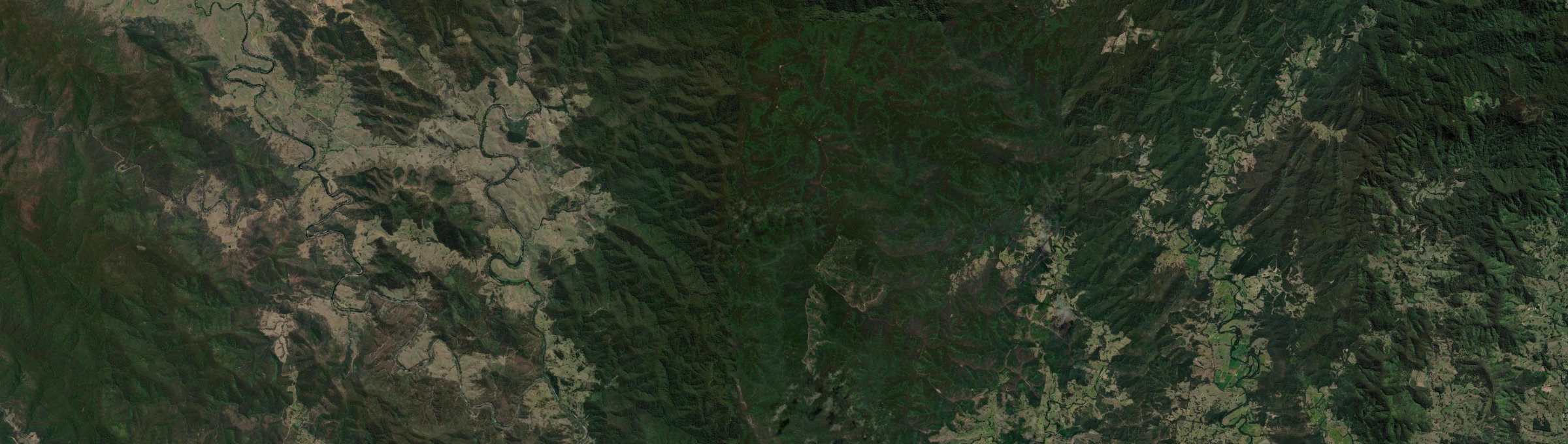Aerial view of Dingo Forest, NSW