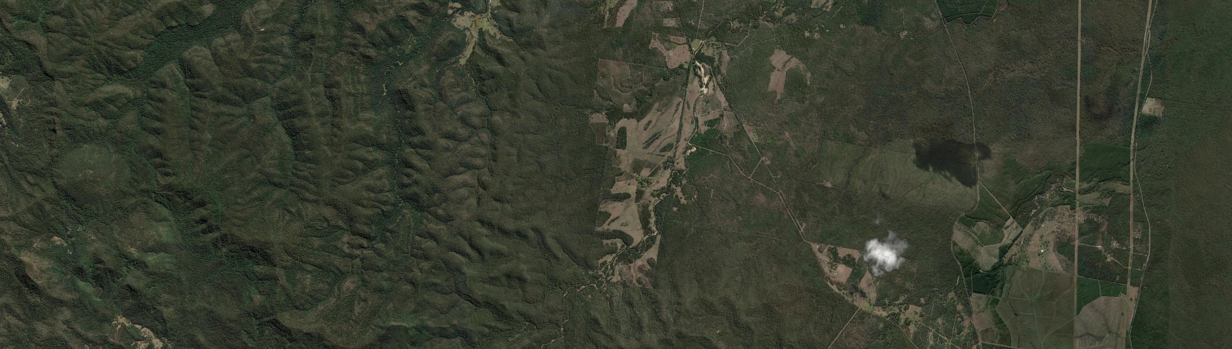 Aerial view of Six Mile Swamp, NSW