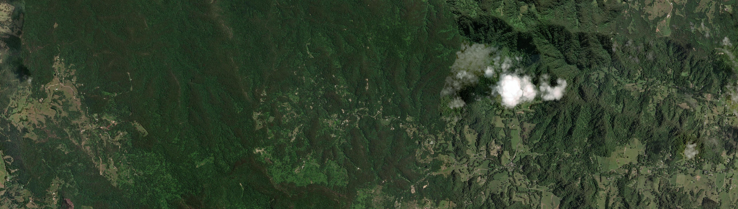 Aerial view of Upper Main Arm, NSW