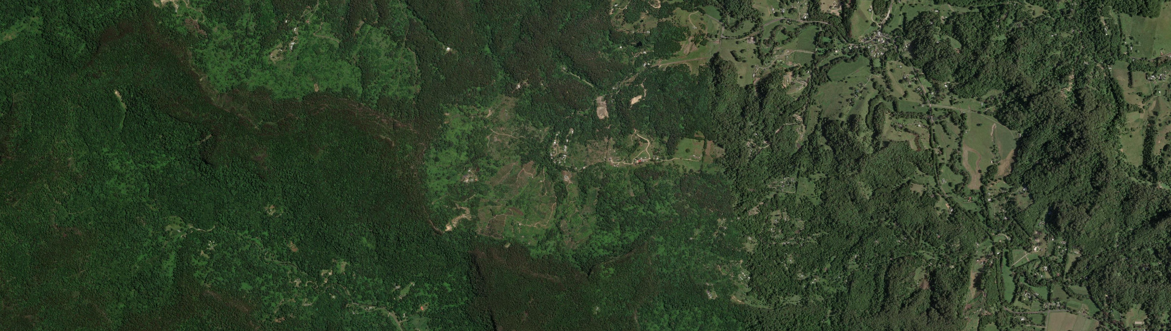 Aerial view of Palmwoods (NSW), NSW