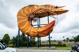Ballina