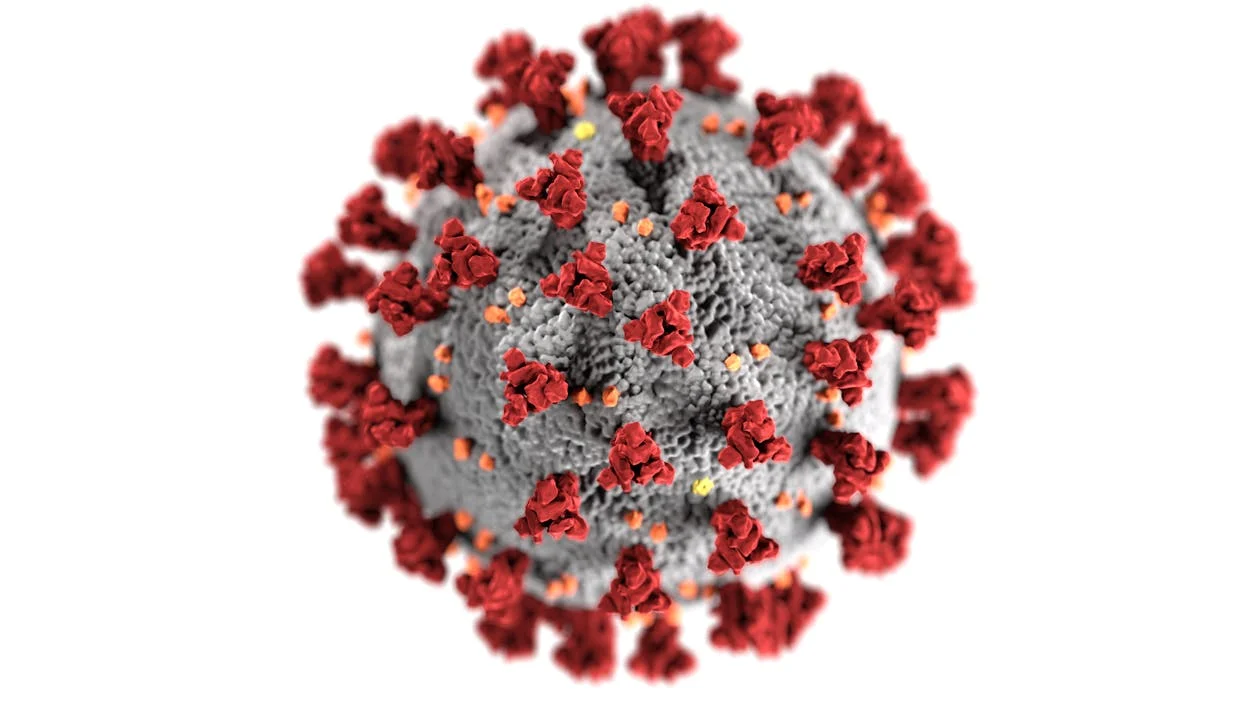 Coronavirus: Early signs point towards a “frozen” economy with some personal services evaporating.