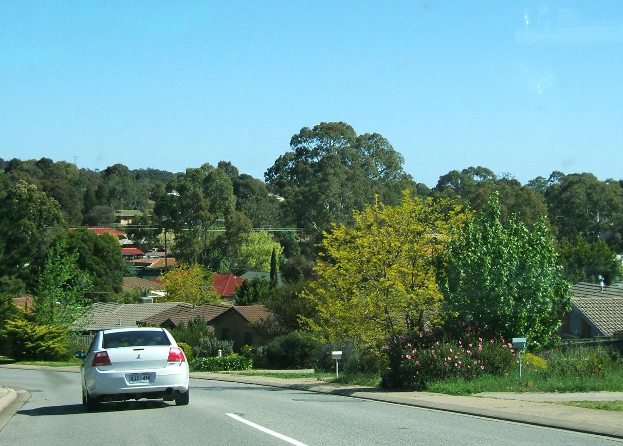 Aberfoyle Park, SA, Residential street with houses and trees