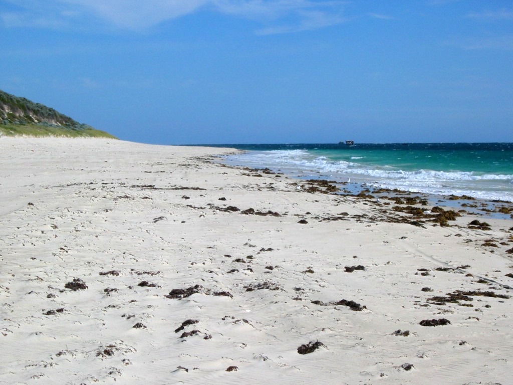 Alkimos, WA, White sandy beach with seaweed and waves