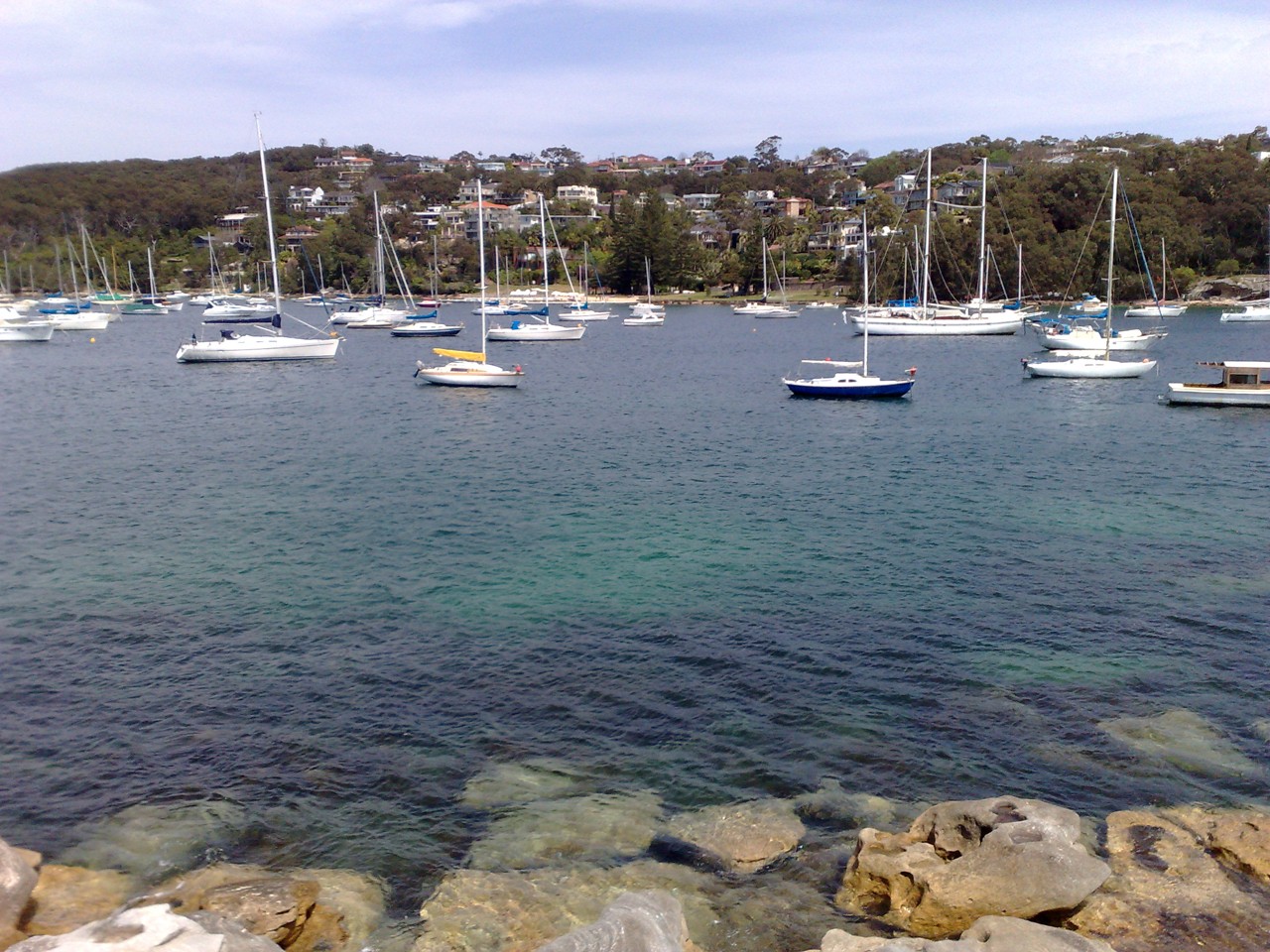 Balgowlah, NSW, Sailboats moored in a sheltered harbour