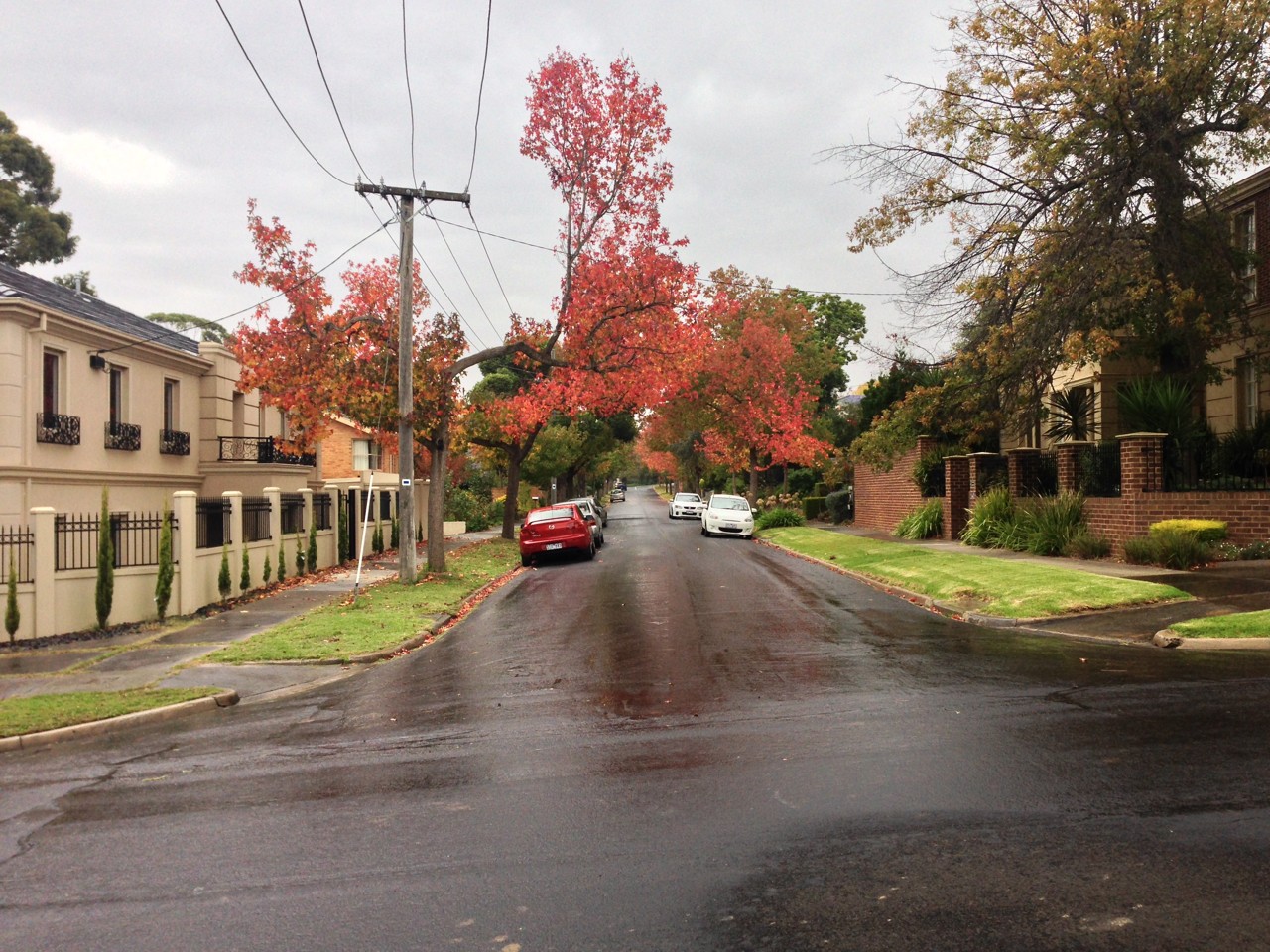 Balwyn North, VIC, Residential street lined with autumn trees