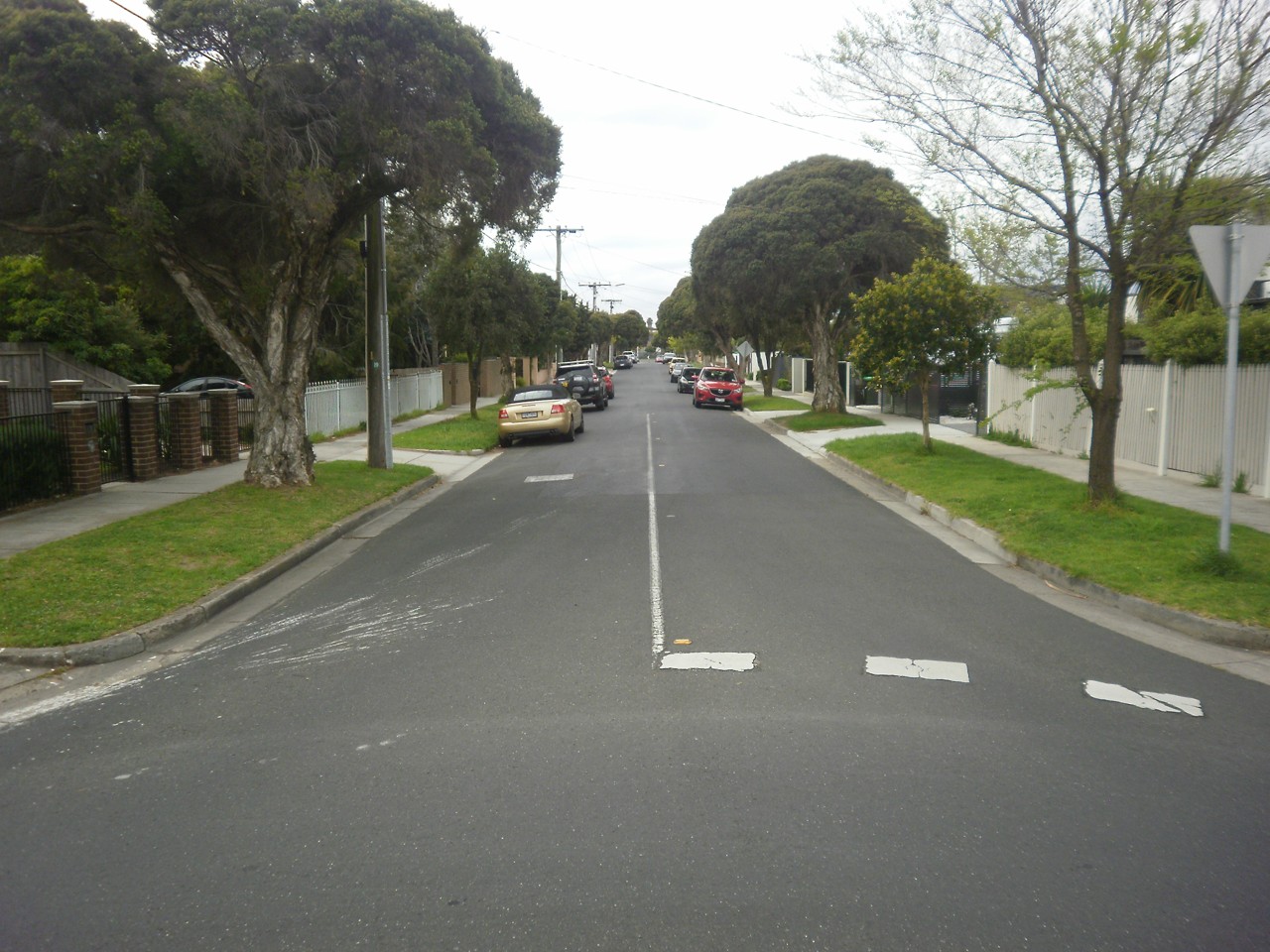 Bentleigh, VIC, Residential street lined with trees and parked cars