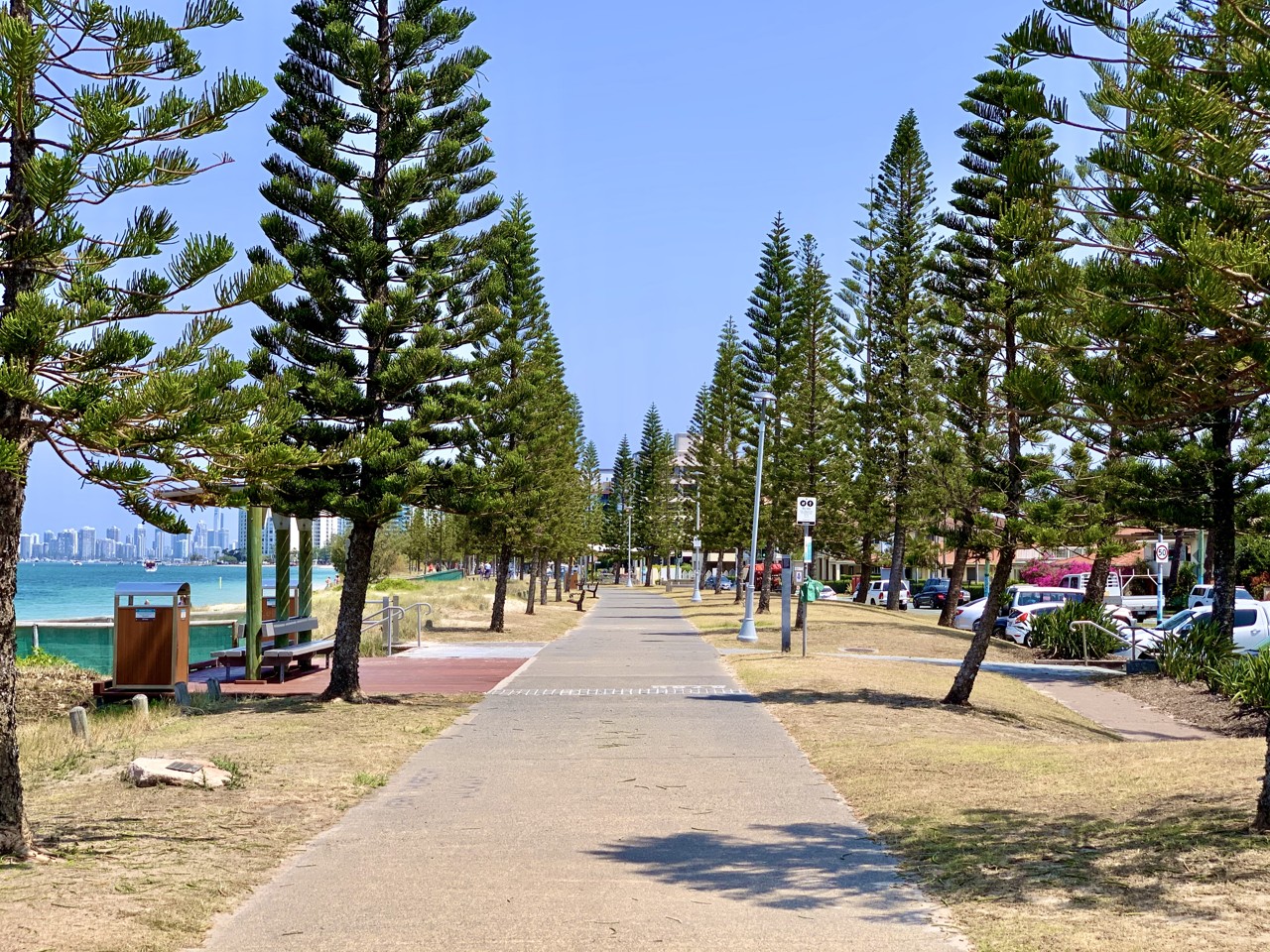 Biggera Waters, QLD, Pathway lined with tall pine trees
