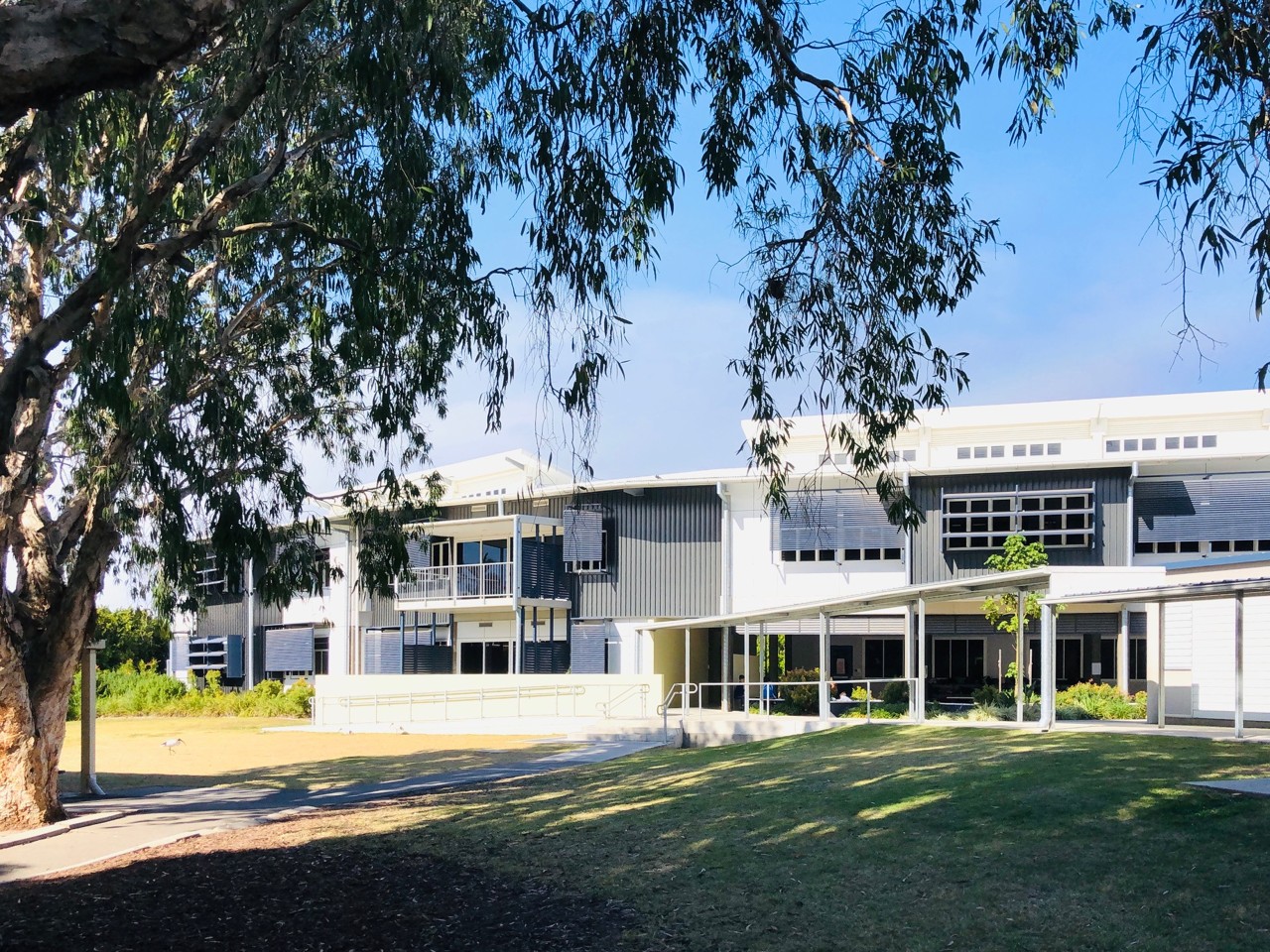 Burleigh Waters, QLD, Modern school building with surrounding trees