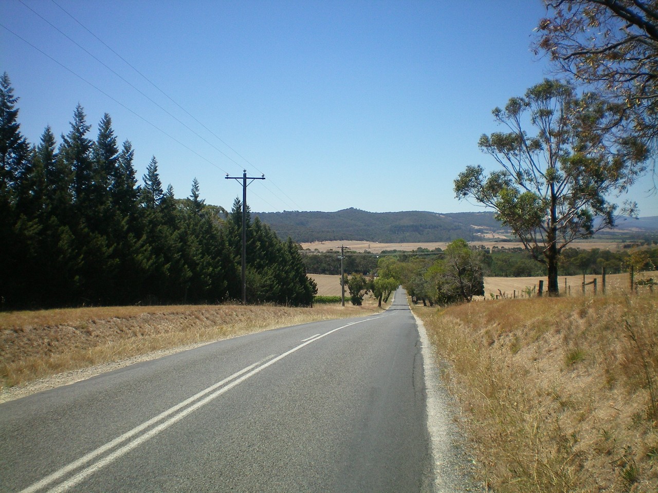 Chirnside Park, VIC, Rural road with distant mountains and trees