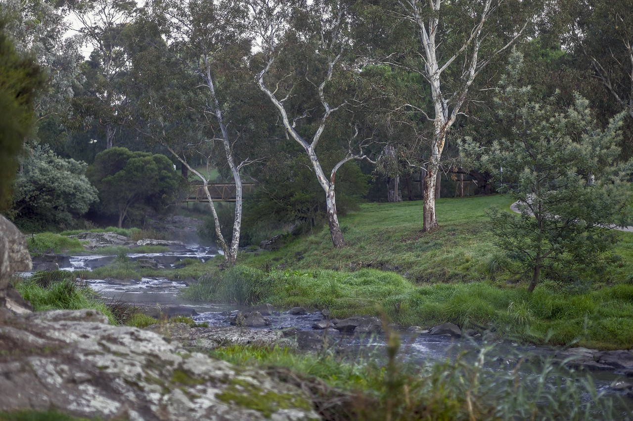Coburg North, VIC, Merri Creek flowing through bushland with trees