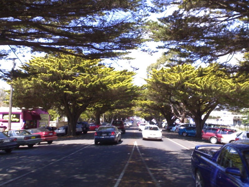 Cowes, VIC, Tree-lined street with parked cars