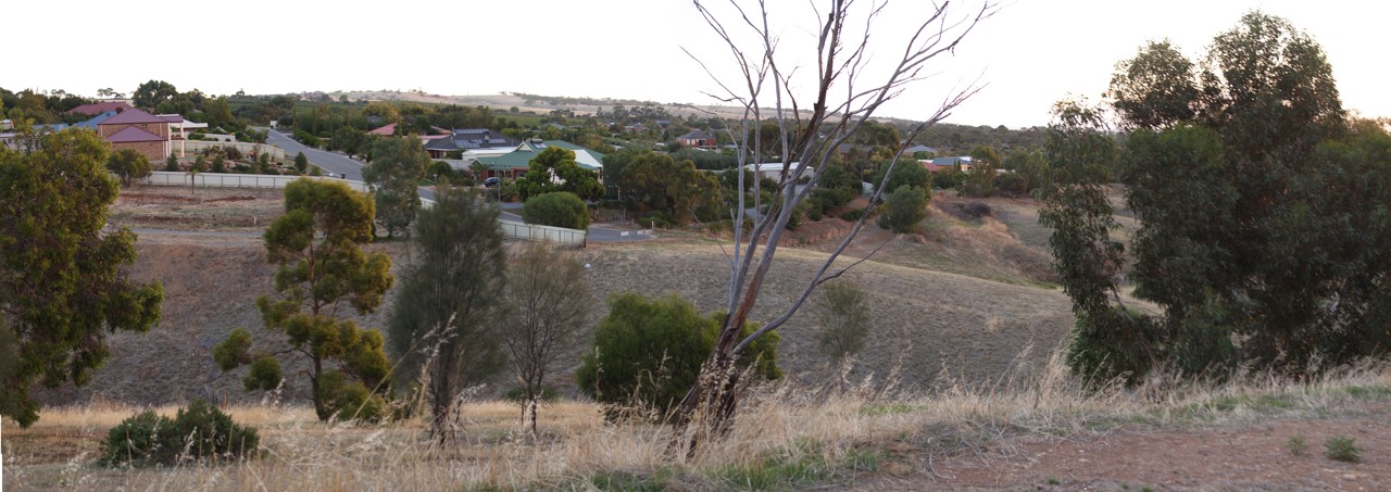 Craigmore, SA, Residential area with dry grassy landscape