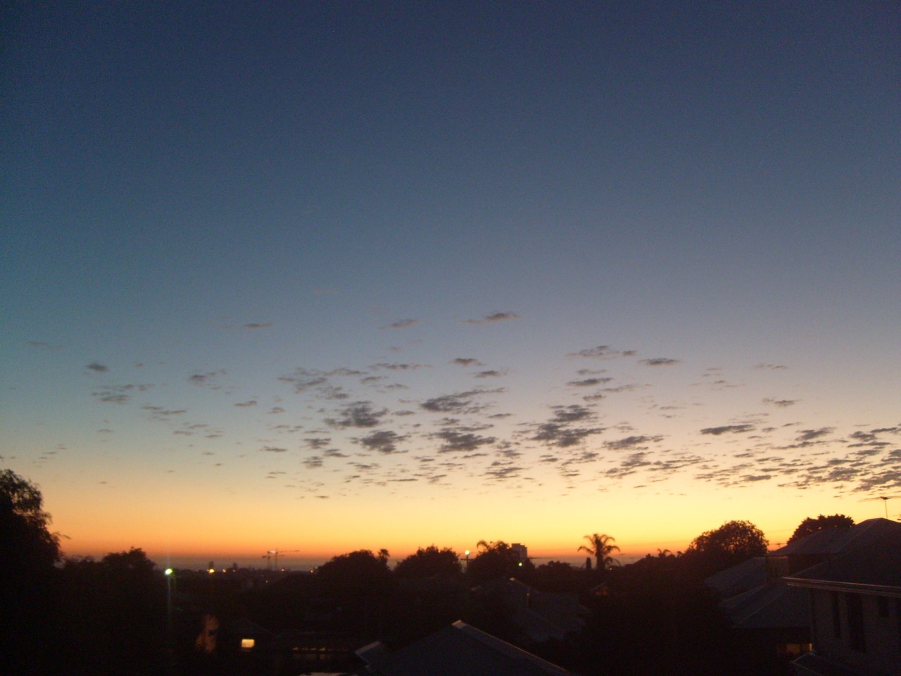 Doubleview, WA, Silhouette of trees with a sunset sky