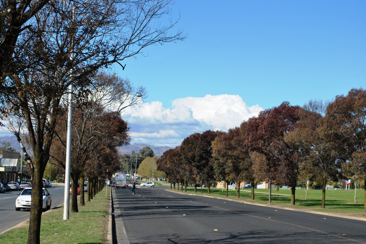 East Albury, NSW, Tree-lined street with park on the side