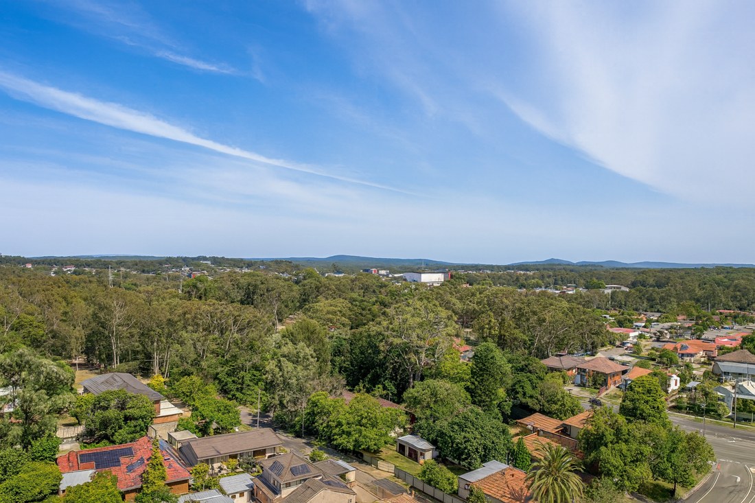 East Maitland, NSW, Suburban houses surrounded by greenery and trees