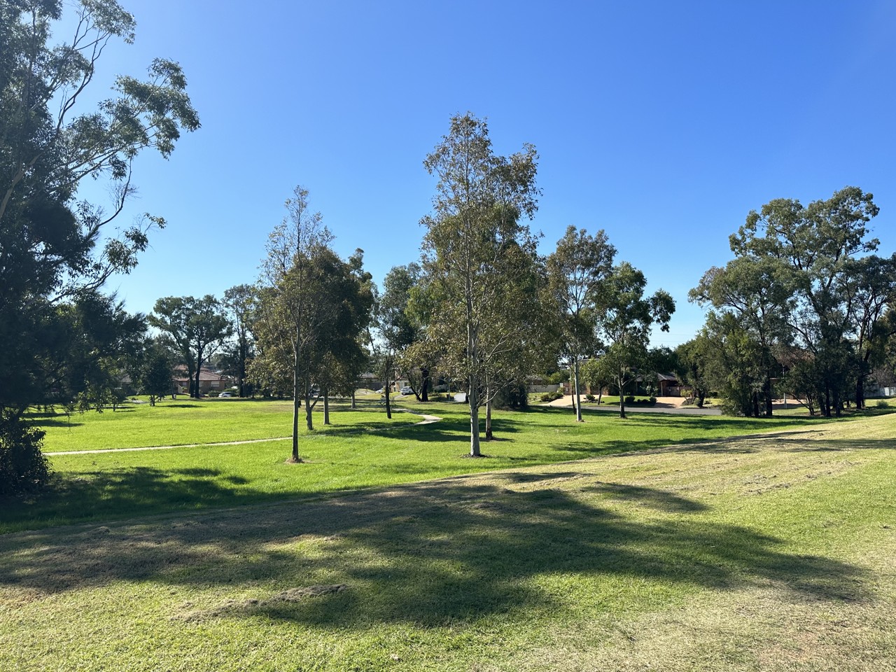 Fairfield West, NSW, Open grassy area with scattered trees