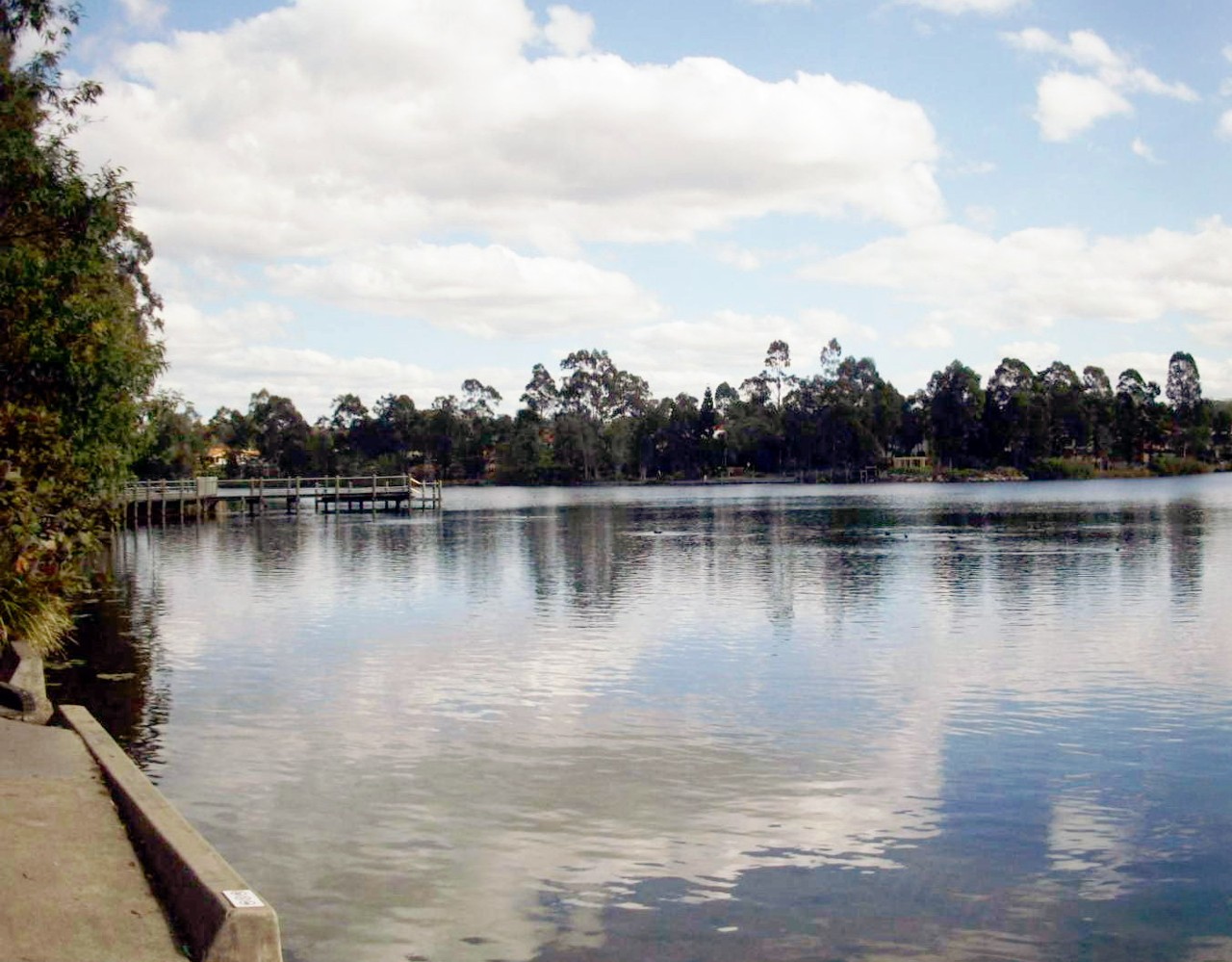 Forest Lake, QLD, Lake with trees and a small jetty