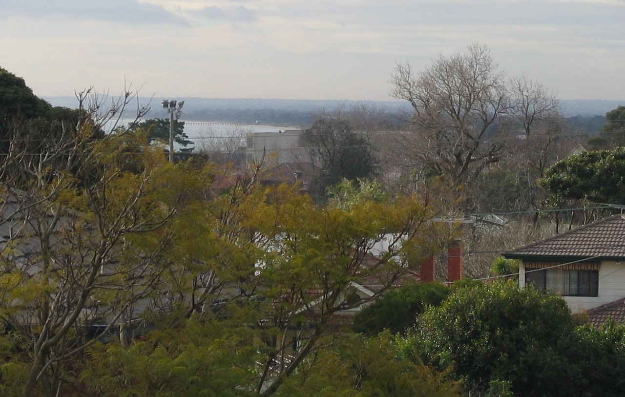 Frankston South, VIC, Distant view of a residential area and bay