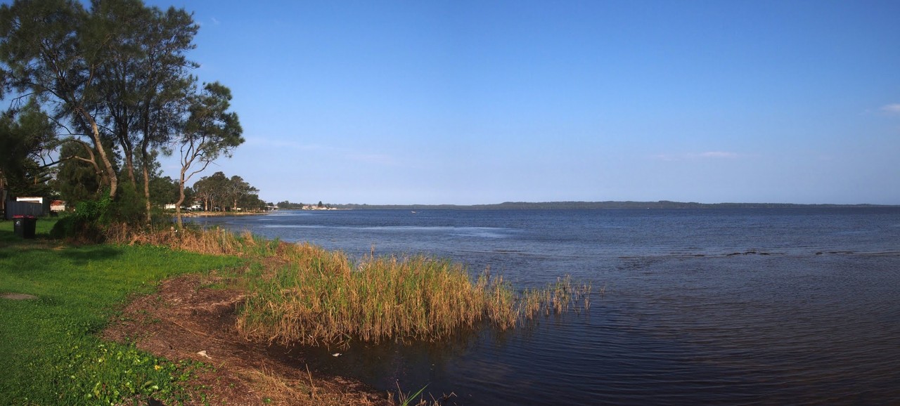Gorokan, NSW, Shoreline of Tuggerah Lake with distant trees