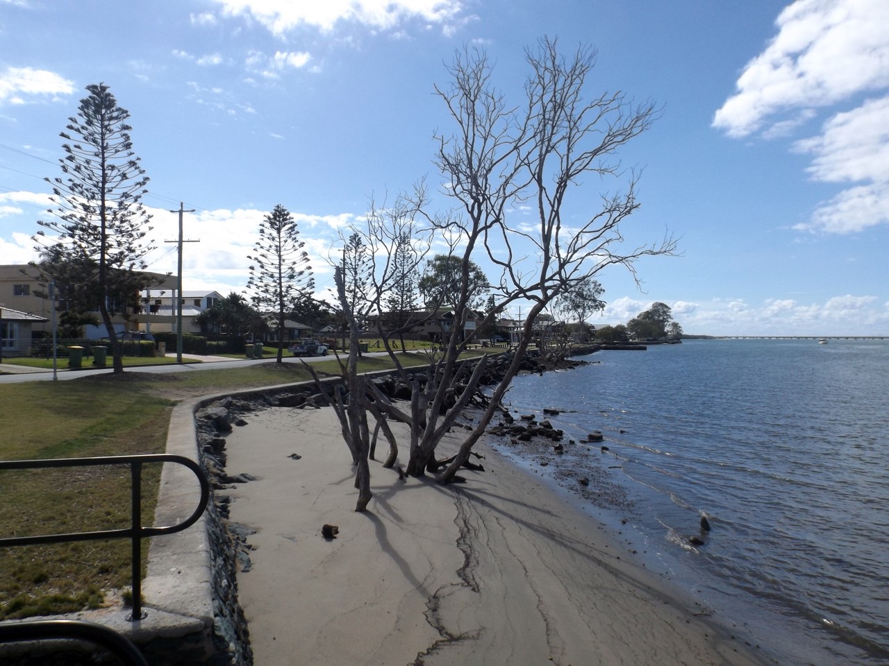 Griffin, QLD, Beachfront with trees and seaside path