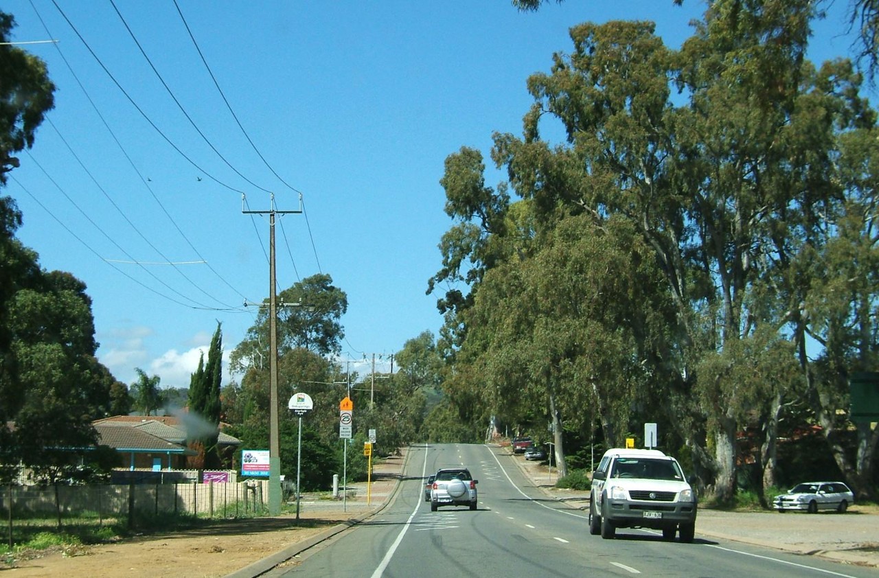 Happy Valley, SA, Eucalyptus-lined suburban street with parked cars