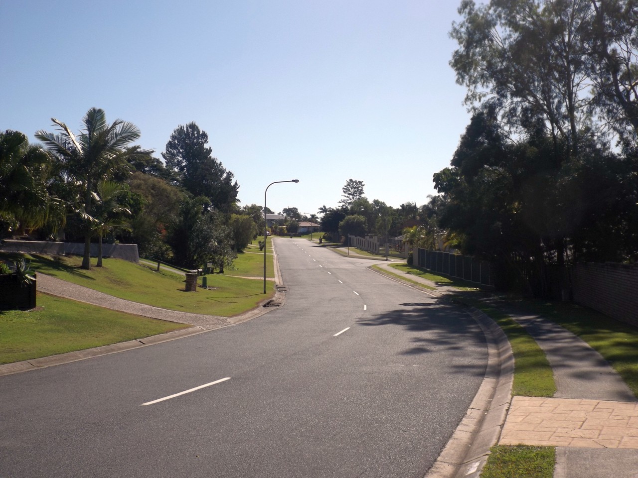 Helensvale, QLD, Quiet suburban street lined with trees