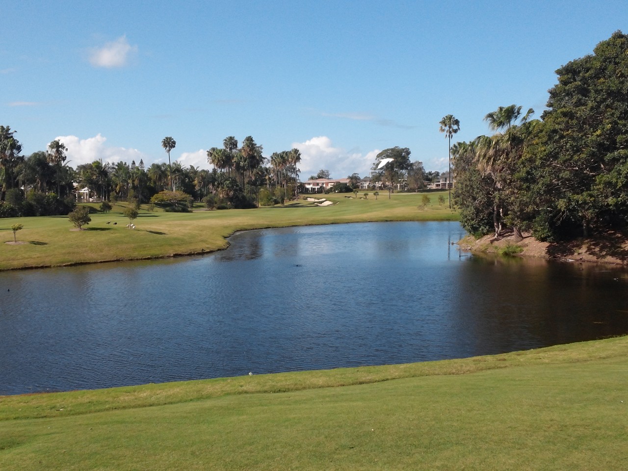 Hope Island, QLD — Golf course with water hazard and trees