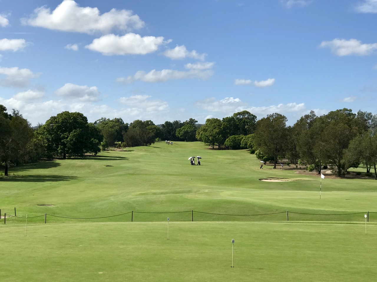 Indooroopilly, QLD, Golf course with trees and blue sky