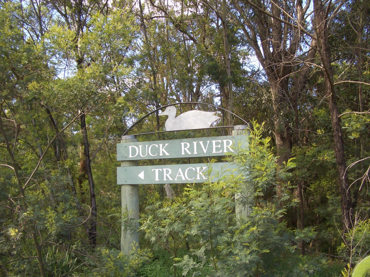 Jordan Springs, NSW, Duck River Track sign among trees