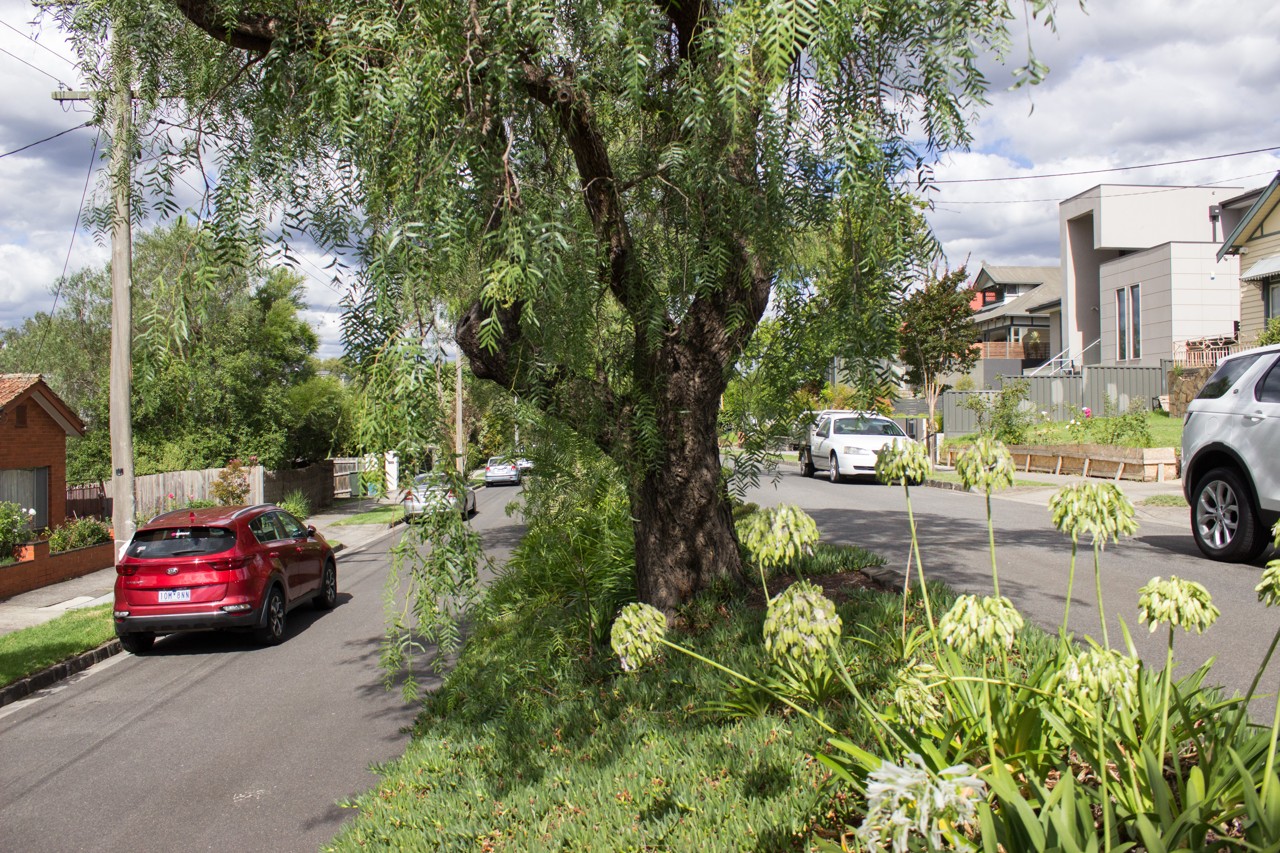 Kew, VIC, Residential street with parked cars and trees