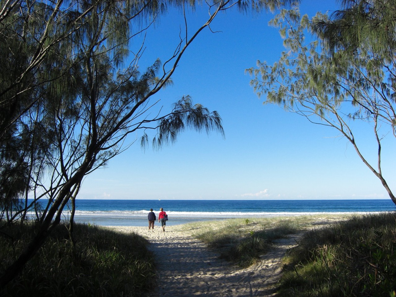 Kingscliff, NSW, Pathway through trees to the beach
