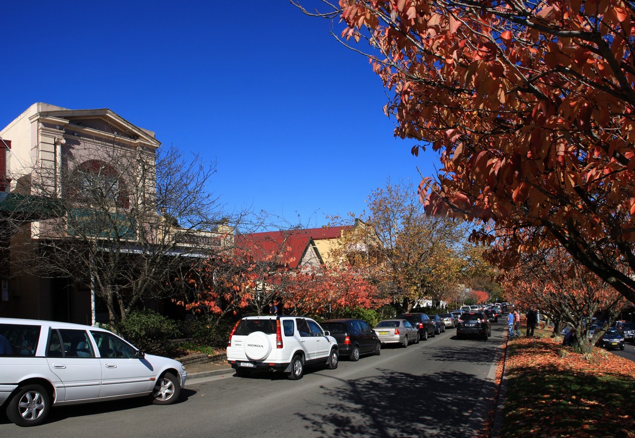Leura, NSW, Trees with autumn leaves along a street